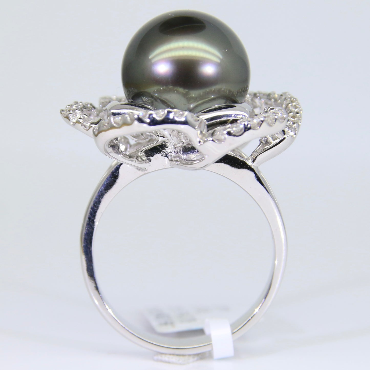 大溪地黑珍珠 戒指 12mm PG00058